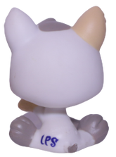 #1876 Puppy